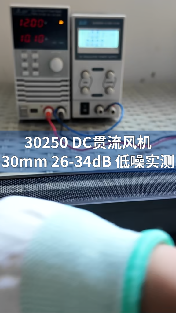 Longwell DC Cross Flow Fan LWCD-30250LG-08S Performance Test LONGWELL 朗伟