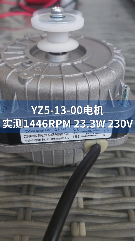 YZ5-13-00 Motor Test LONGWELL 朗伟