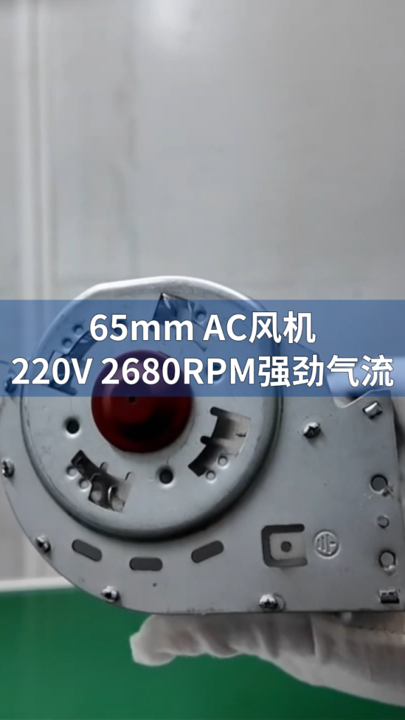 AC Cross Flow Fan Test LONGWELL 朗伟