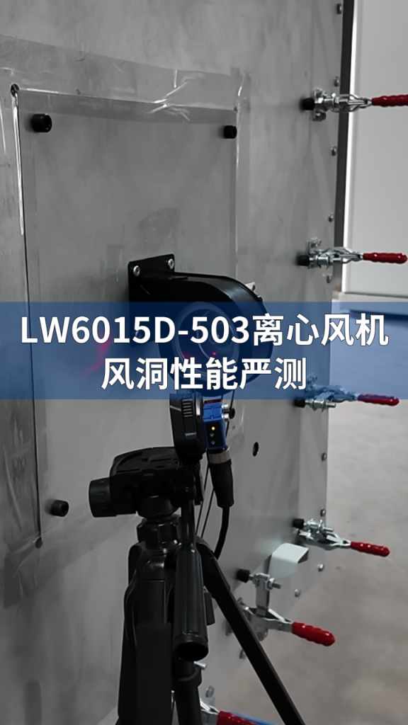 LW6015D-503 Blower Test LONGWELL 朗伟