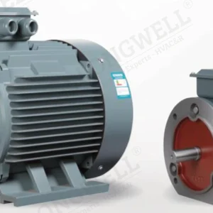 LWYE3 系列三相异步电动机 LONGWELL 朗伟（系列示意图）