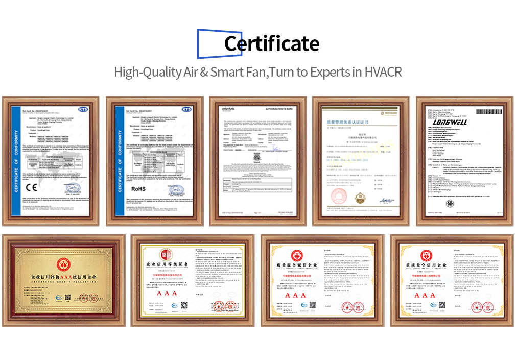 certificate display.jpg