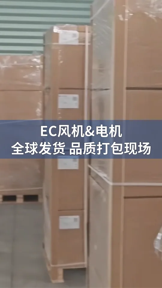 朗伟EC风机与电机｜整装待发，全球发运